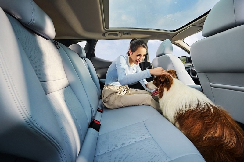 Старый Nissan Qashqai не подорожал после радикального рестайлинга